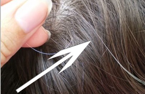 Mitos e verdades sobre os cabelos brancos