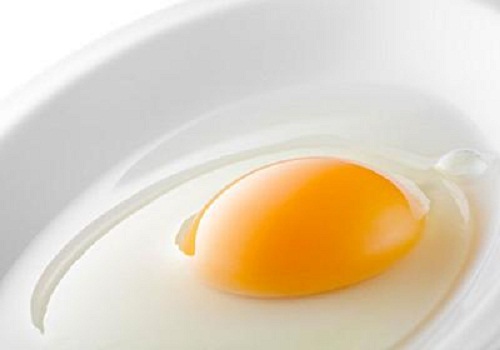 ovos no café da manhã pode te ajudar a perder peso