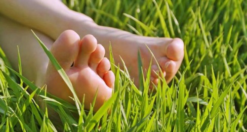 Massagem nos pés fortalece o sistema imune
