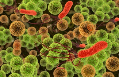 O que se esconde nas notas de dinheiro?