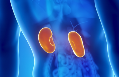 8 sintomas de uma doença renal
