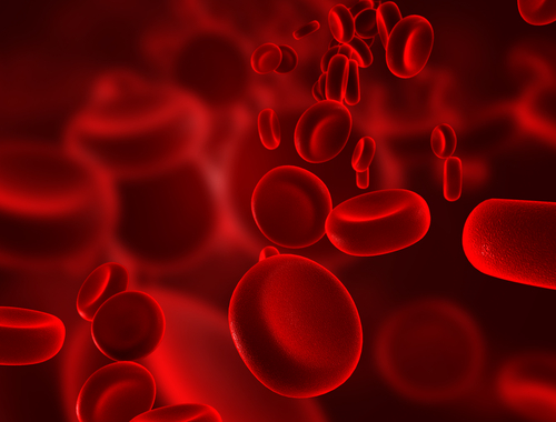 depurar o sangue