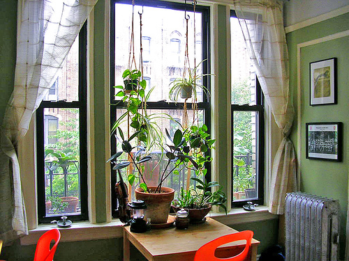 7 coisas essenciais que toda casa deve ter