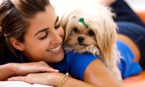 Animais também sonham