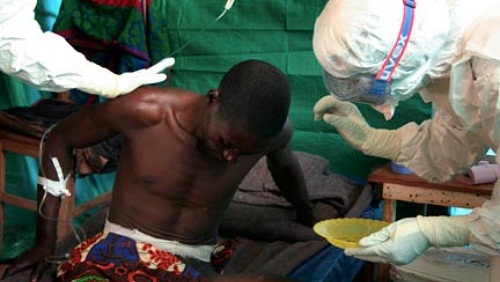 O que precisamos saber sobre o Ebola? O que precisamos saber sobre o Ebola?