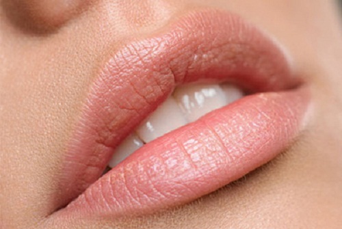 Labios secos