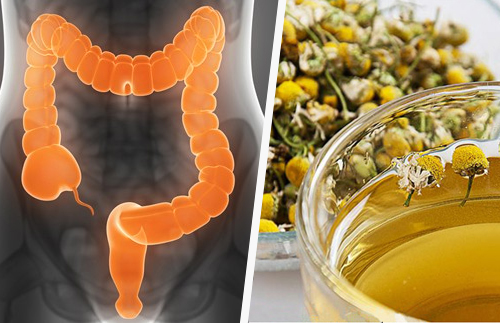 Limpar o cólon com ervas medicinais Limpar o cólon com ervas medicinais