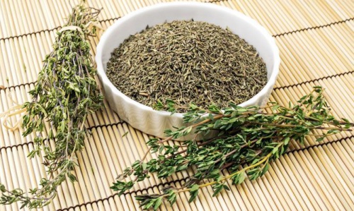 tomilho para a saúde pulmonar