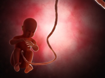 As mudanças climáticas poderão eliminar o sexo masculino da raça humana?