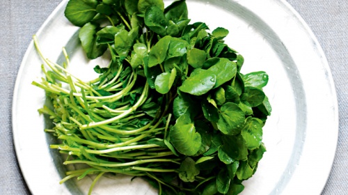 O agrião contém proteínas