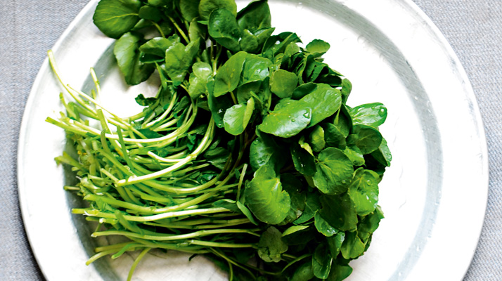 Agrião para os rins