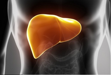 Conselhos e remédios naturais para manter um fígado saudável