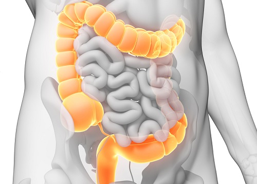 detoxifiere colon colon
