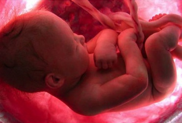 Por que não conseguimos lembrar do nascimento?