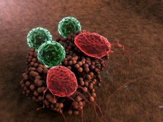 8 coisas que prejudicam o sistema imunológico
