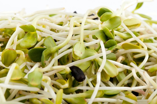 Saladas naturais são ótimas para a saúde do cabelo, pele e unhas