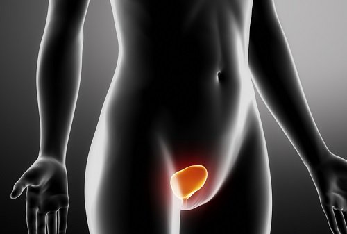 Tratamento e prevenção das infecções urinárias