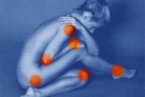Ervas medicinais para tratar dores articulares