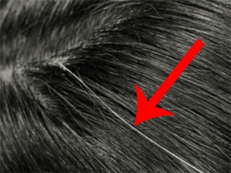 Como disfarçar os cabelos brancos de forma caseira