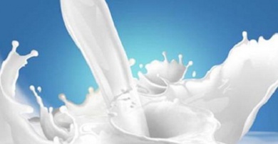 Doenças relacionadas ao consumo de leite de vaca