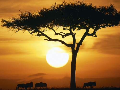 Mulher humilhada por seus glúteos teve sem fim na Africa