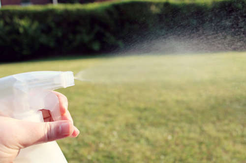 spray com vinagre para limpar a casa