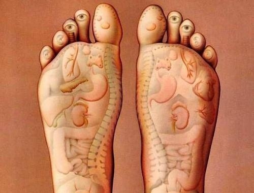 dormir com uma cebola nos pés