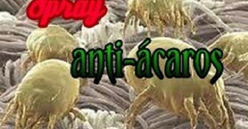 Como fazer um spray antiácaros caseiro