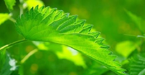 10 Truques contra o ronco