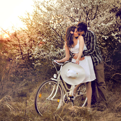 amor1-500x500