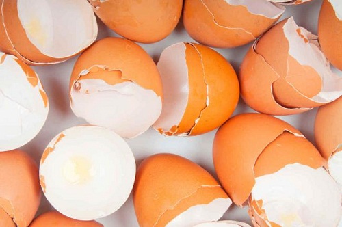 Casca de ovo: 17 formas surpreendentes de utilizá-la