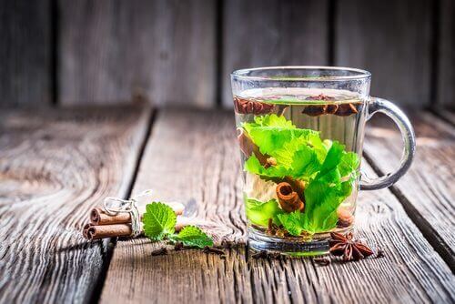 O chá verde com canela pode ajudar a acelerar o metabolismo 