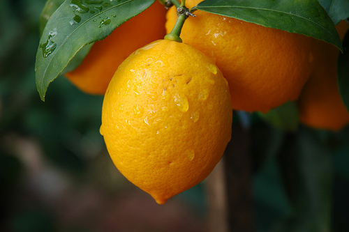 limão utilizado para limpar artérias