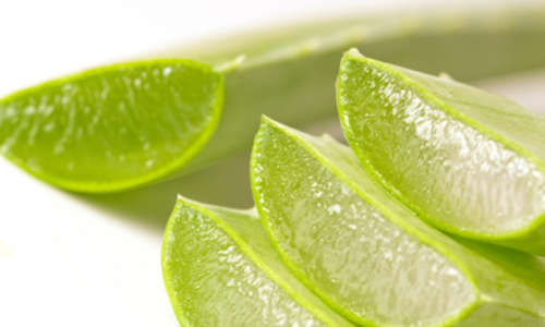 Aloe vera para tirar manchas nas mãos