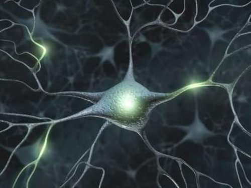 Funcionamento dos neurônios no hipotireoidismo