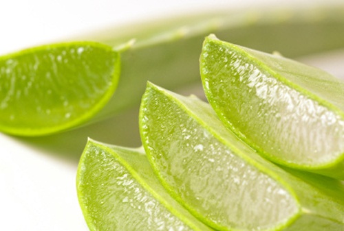 aloe vera