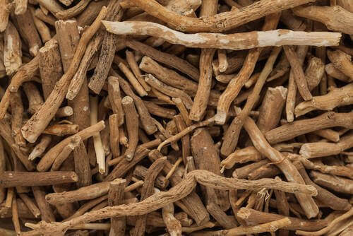 Utilizar ashwagandha é um dos segredos dos habitantes dos Himalaias