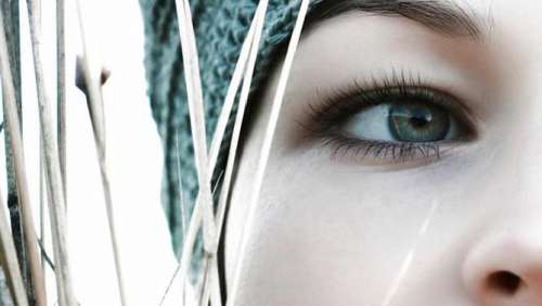 cilios-500x282