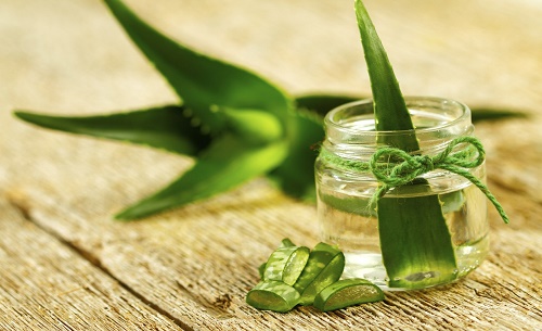Aloe Vera: conheça seus benefícios para o estômago - Melhor com saúde