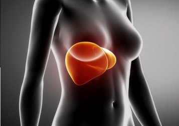 Reprimir as emoções pode bloquear o fígado