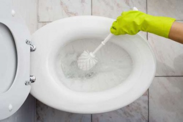 Descubra como limpar o banheiro de modo ecológico