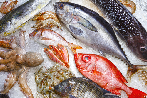 9 tipos de peixe que é melhor evitar