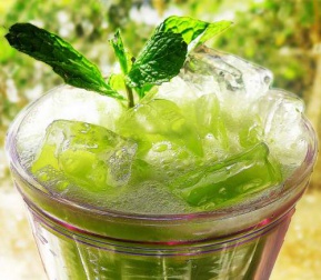 suco de pepino ajuda a desintoxicar os rins