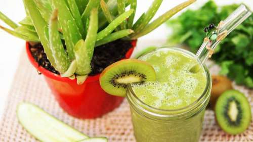 Aloe vera para prevenir a prisão de ventre