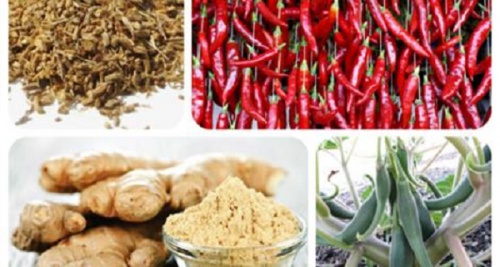 8 poderosos analgésicos naturais sem efeitos secundários