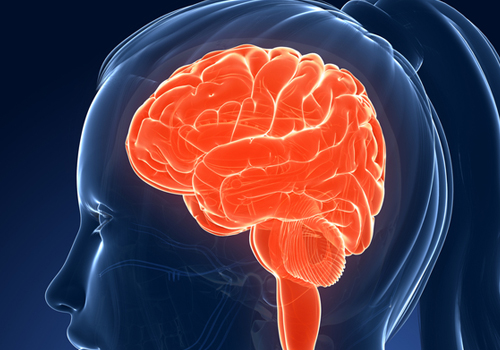 Alimentos para Dieta do cérebro