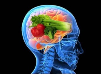 Descobrindo os benefícios da "dieta do cérebro"