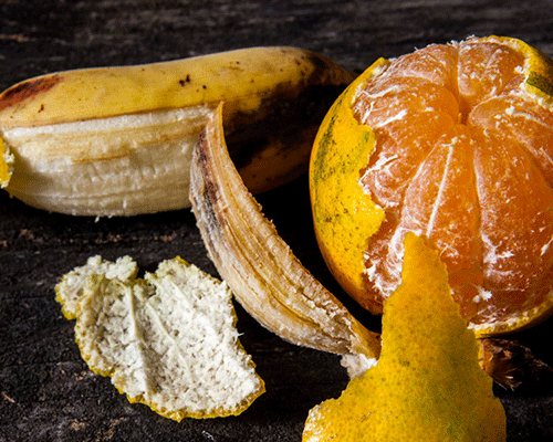 Nunca jogue fora as cascas de banana e laranja Nunca jogue fora as cascas de banana e laranja