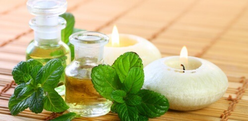 Como fazer óleo de menta para melhorar a saúde Como fazer óleo de menta para melhorar a saúde