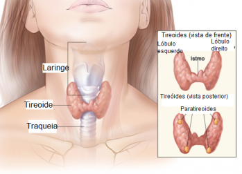 Água de coco, tratamento medicinal para o hipotireoidismo